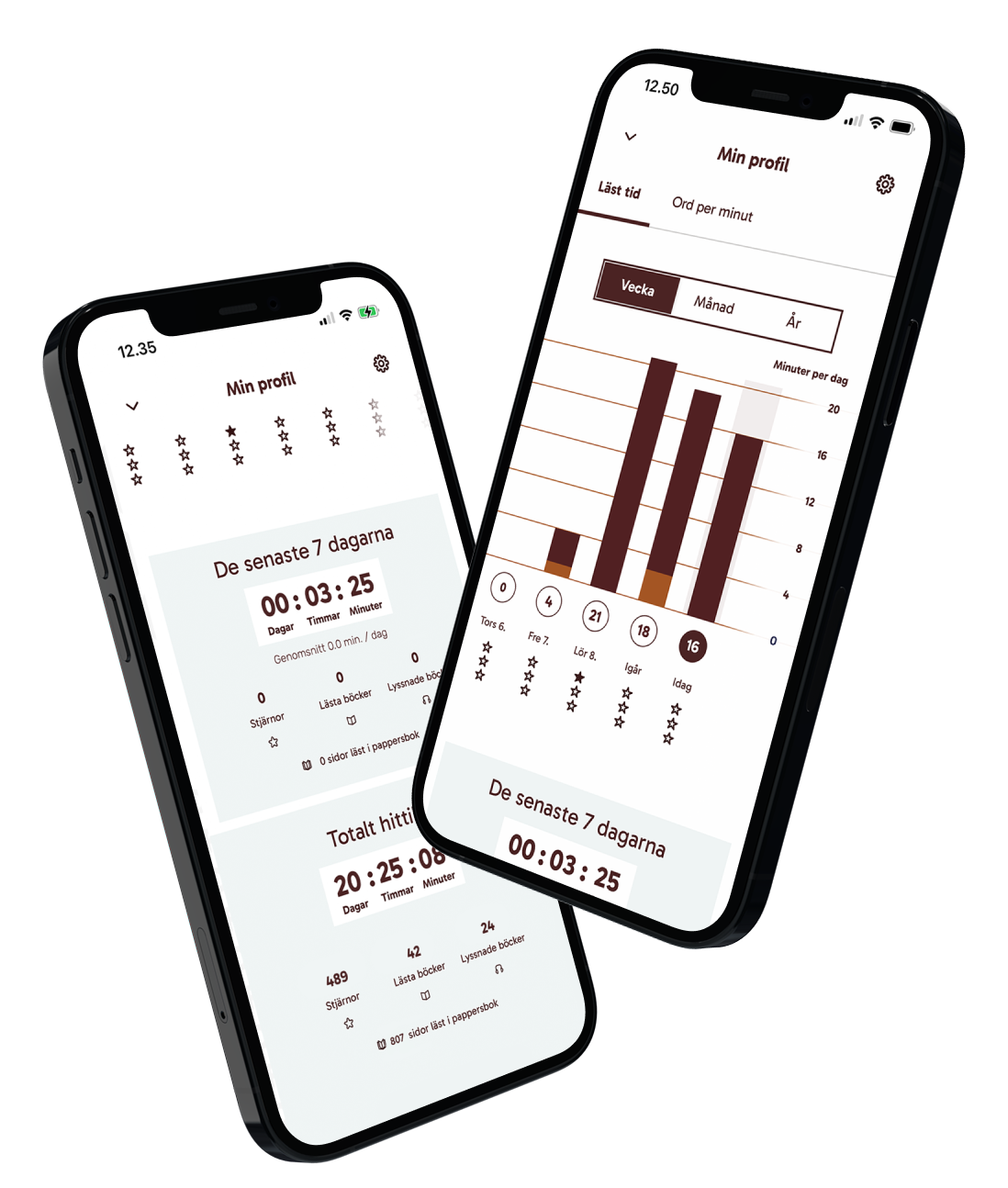 BIB-SE-reading-statistics-mockup (1)