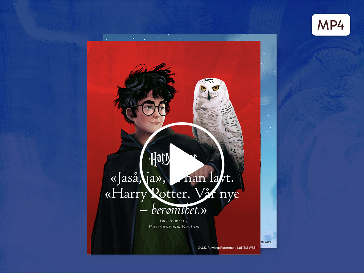 NO-animation-banner-1